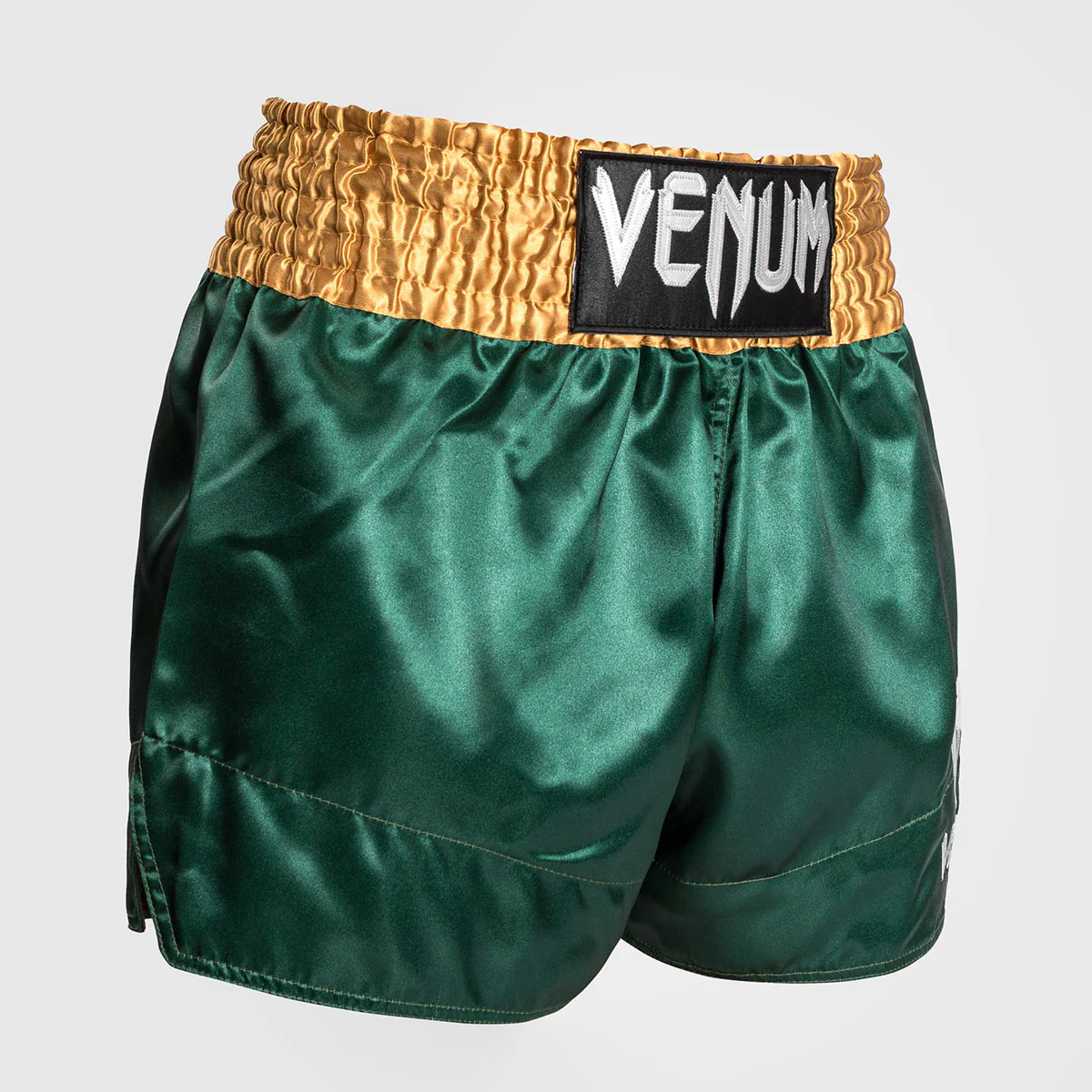 Shorts de kick-thai Venum Muay Thai Classic  - Image 40