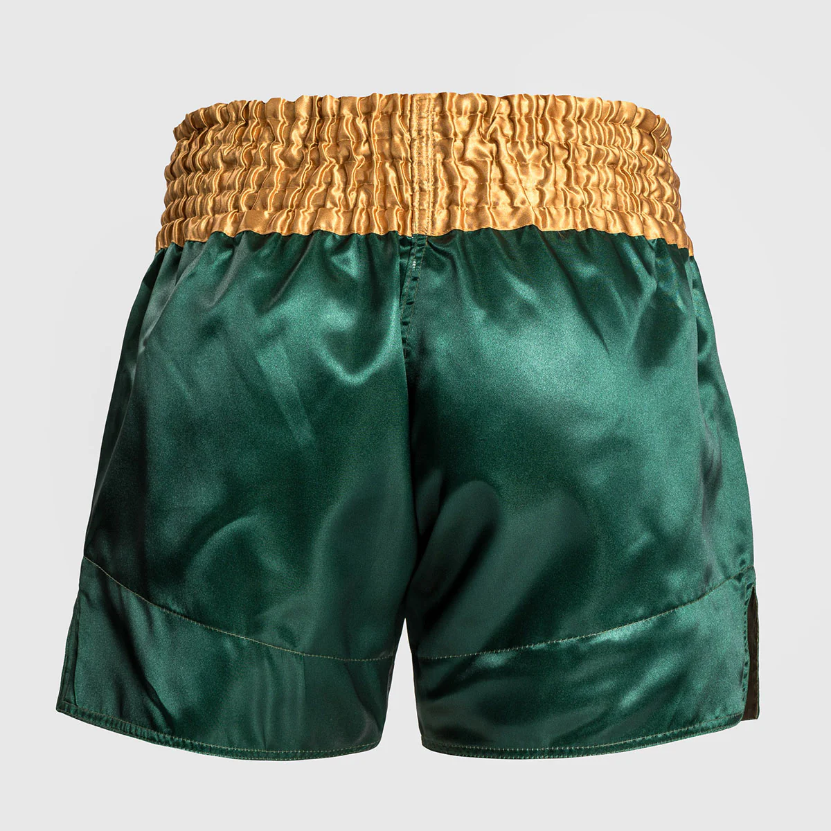 Shorts de kick-thai Venum Muay Thai Classic  - Image 41
