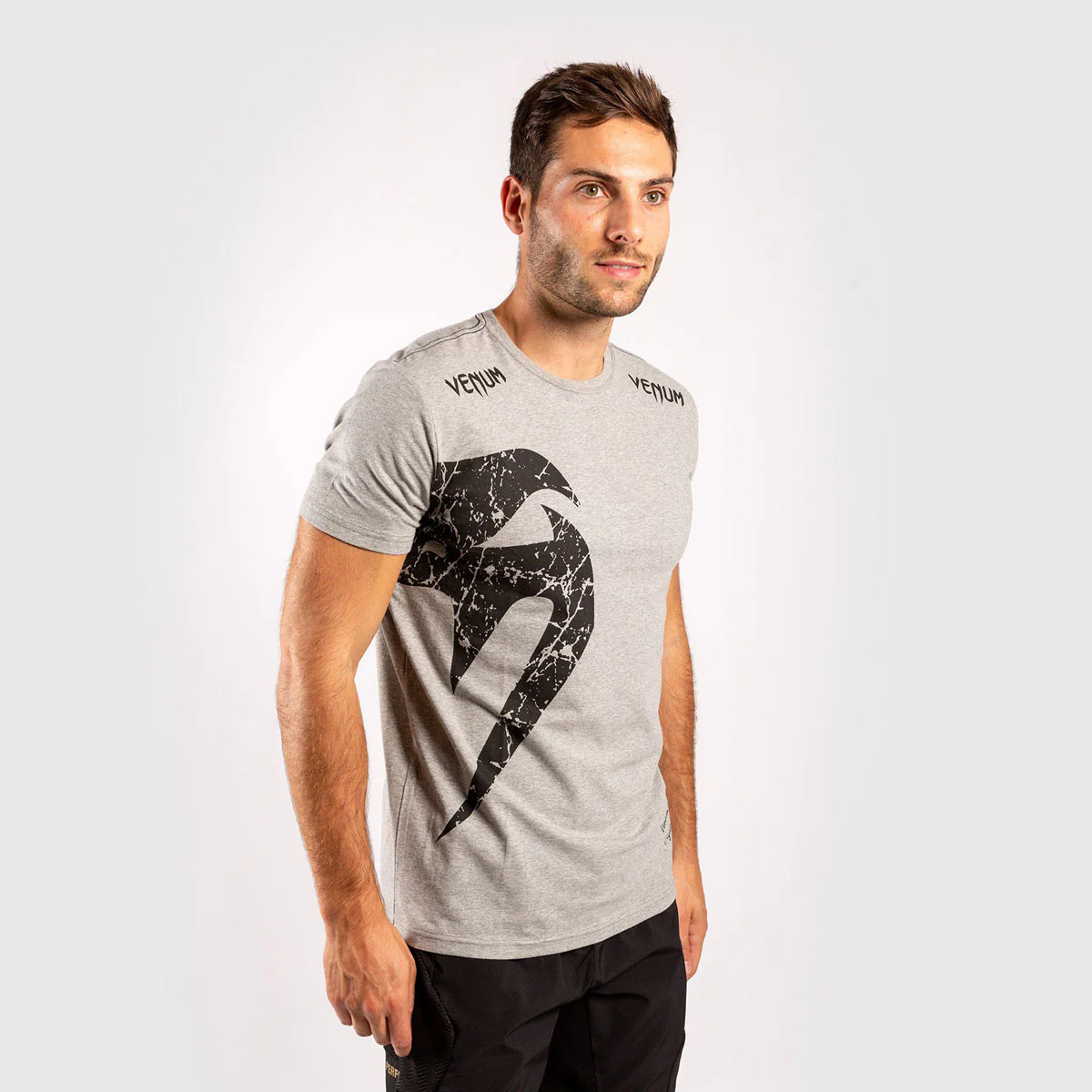 T-shirt en Coton Venum Giant Gris-Noir  - Image 5